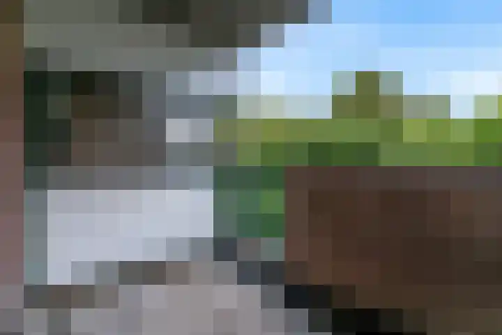 Winkelwaard 23 Alkmaar thumbnail 8