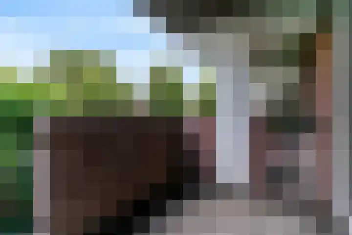 Winkelwaard 23 Alkmaar thumbnail 9
