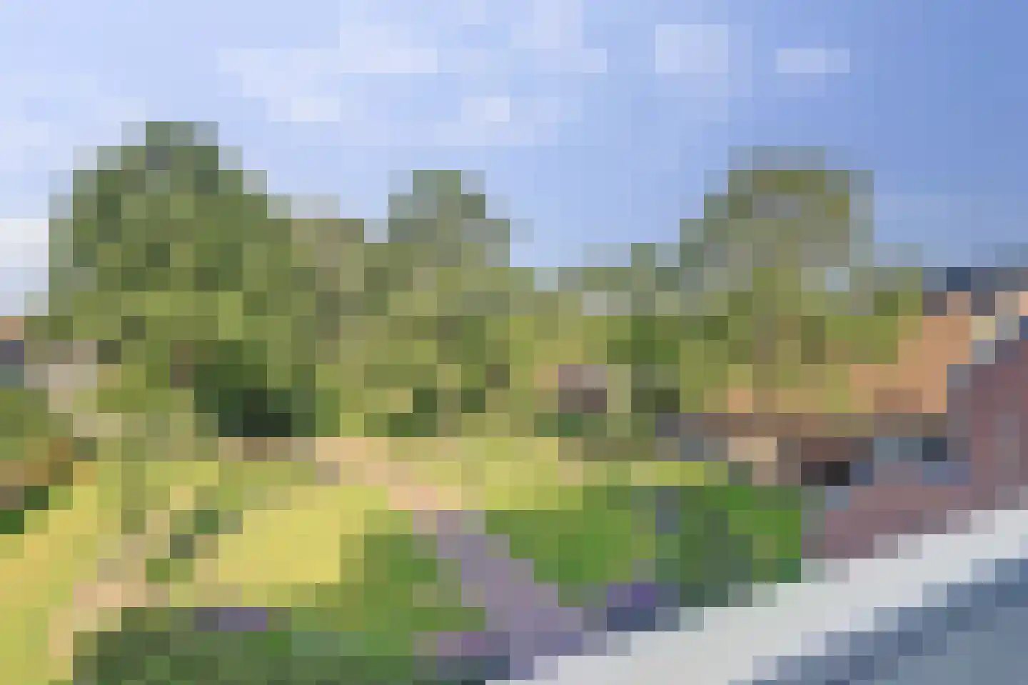 Winkelwaard 259 Alkmaar thumbnail 23