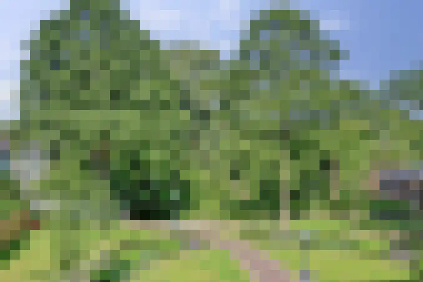 Winkelwaard 259 Alkmaar thumbnail 24