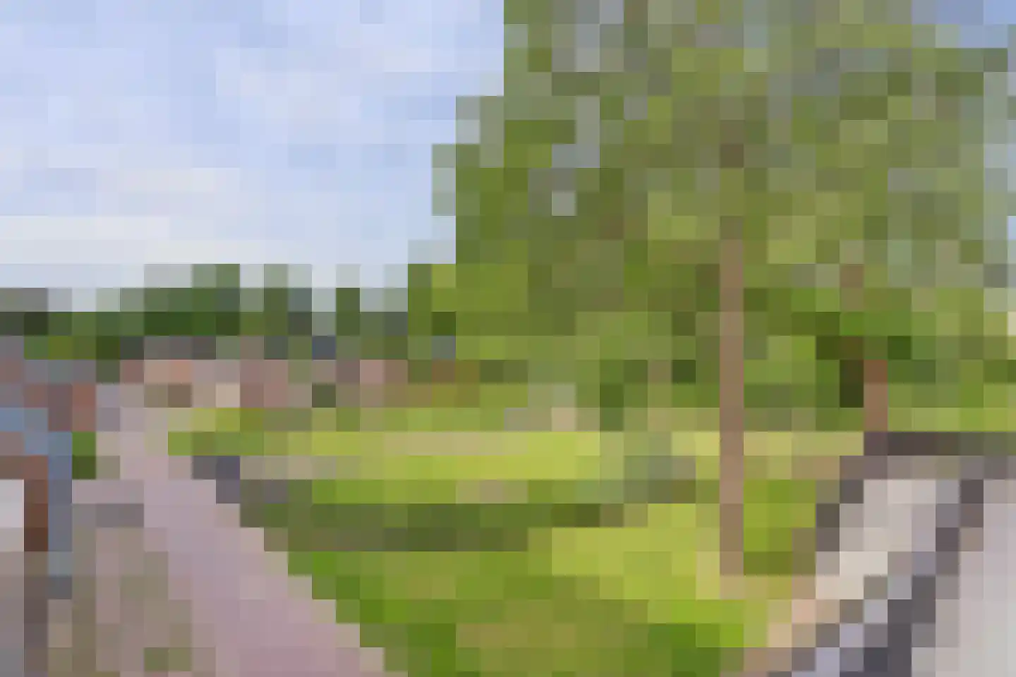 Winkelwaard 259 Alkmaar thumbnail 30