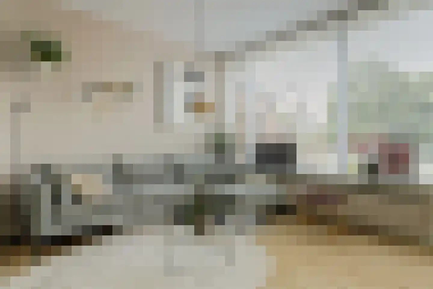 Winkelwaard 260 Alkmaar thumbnail 13