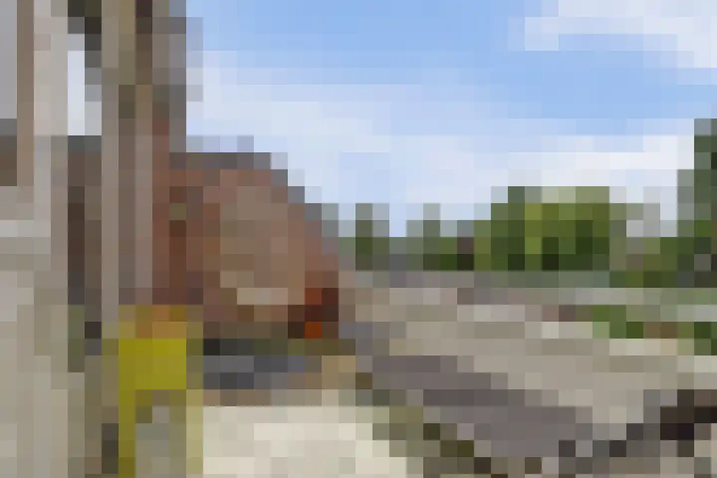 Winkelwaard 260 Alkmaar thumbnail 29