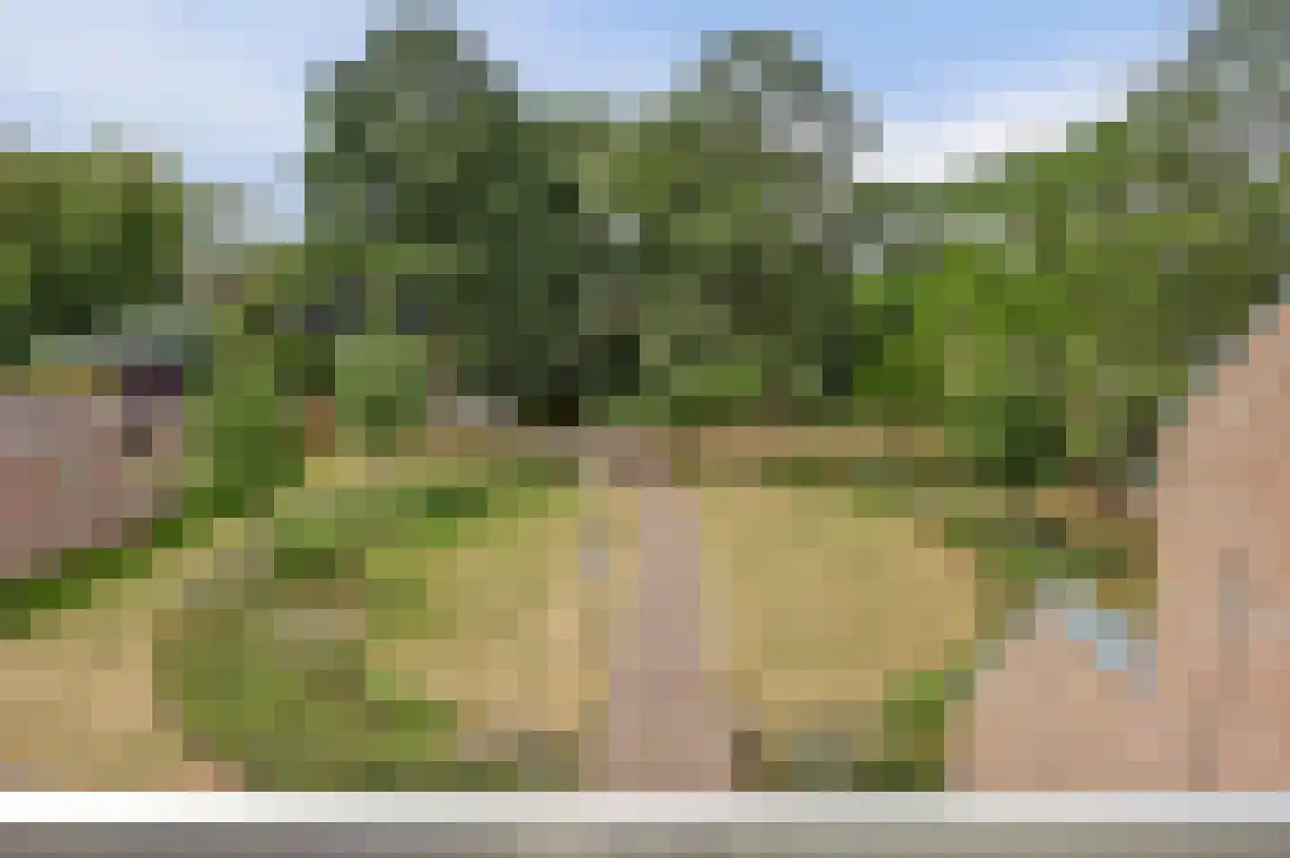 Winkelwaard 260 Alkmaar thumbnail 31