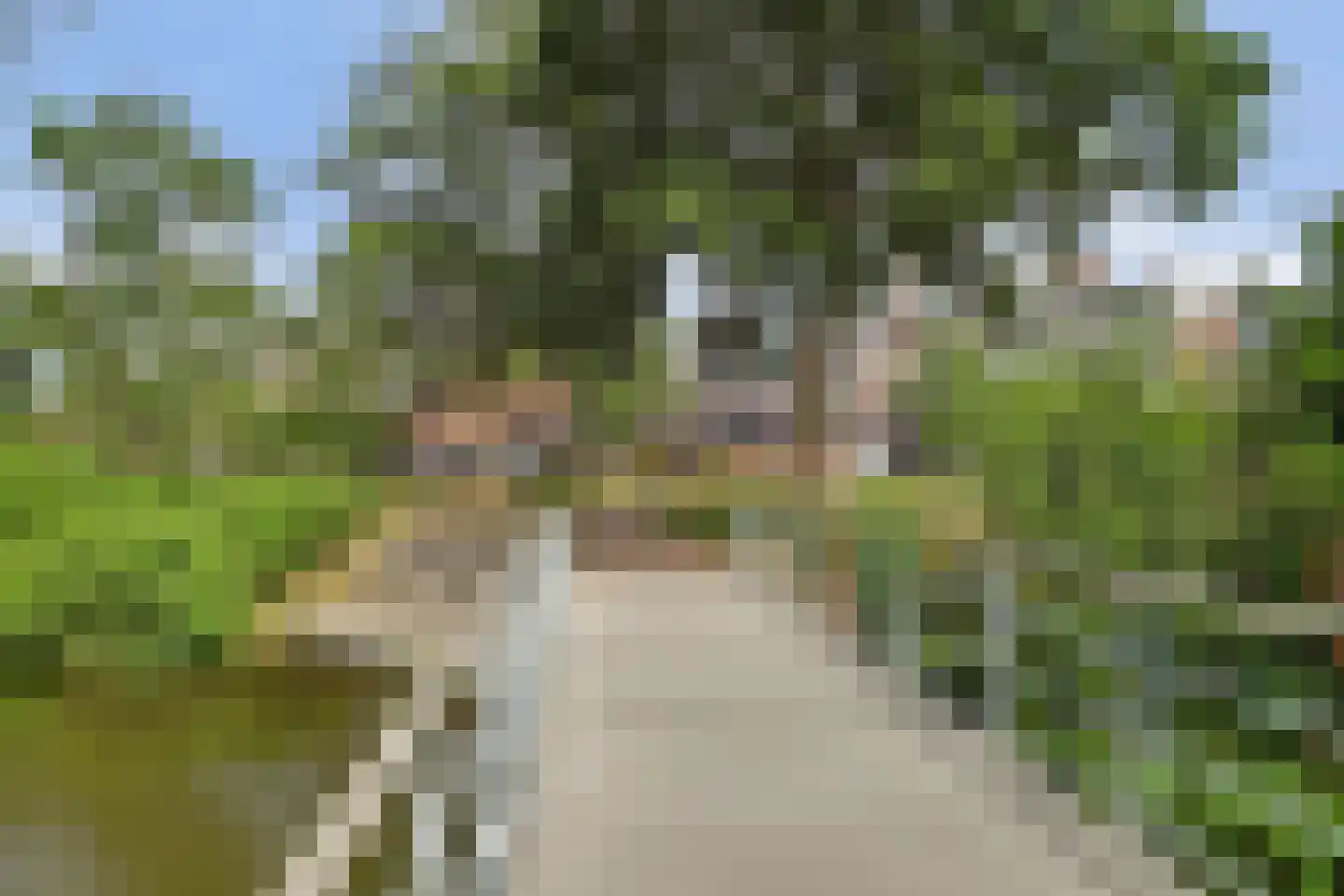Winkelwaard 260 Alkmaar thumbnail 34