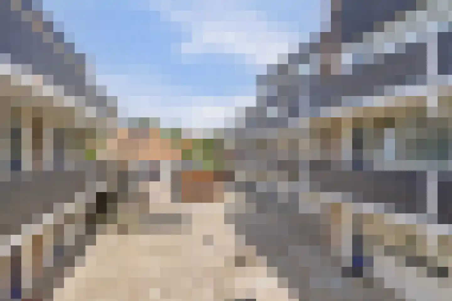 Winkelwaard 260 Alkmaar thumbnail 6
