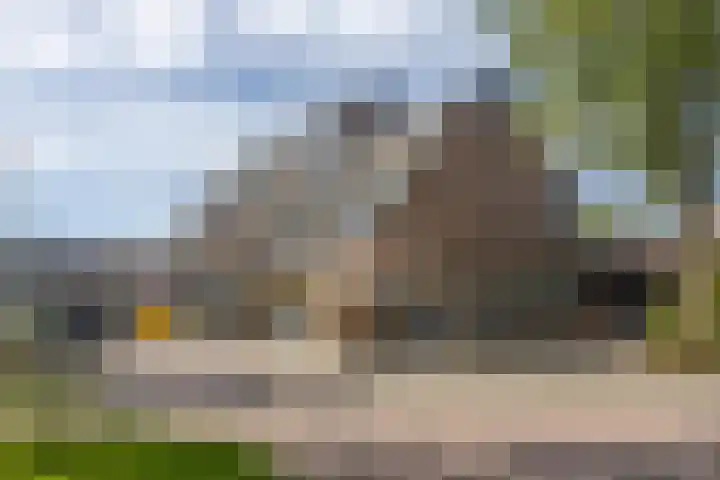 Winkelwaard 268 Alkmaar thumbnail 28