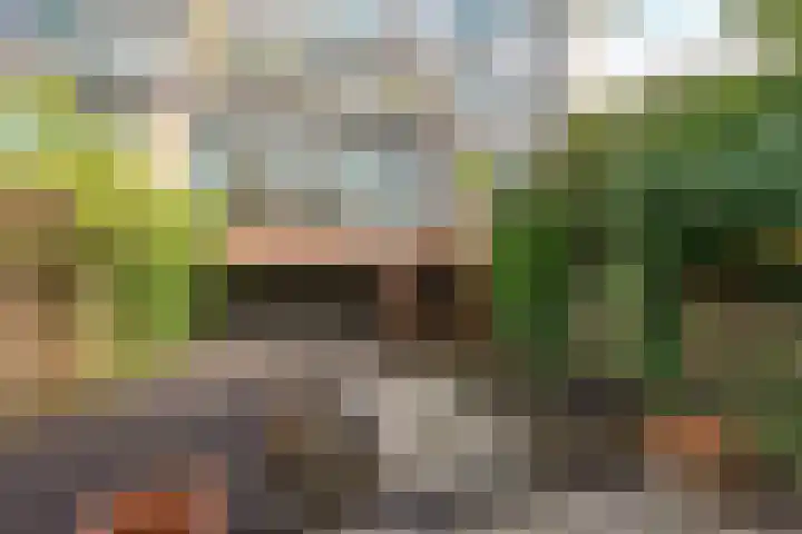 Winkelwaard 305 Alkmaar thumbnail 23