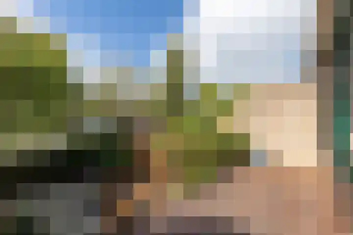 Winkelwaard 305 Alkmaar thumbnail 24