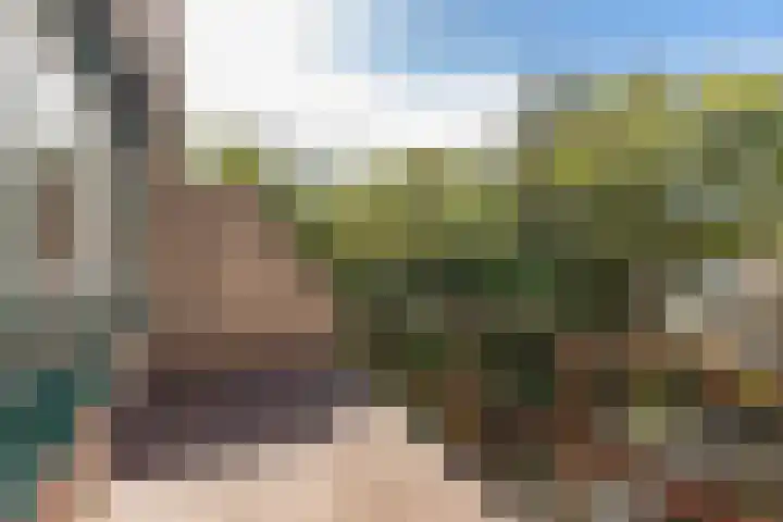 Winkelwaard 305 Alkmaar thumbnail 25