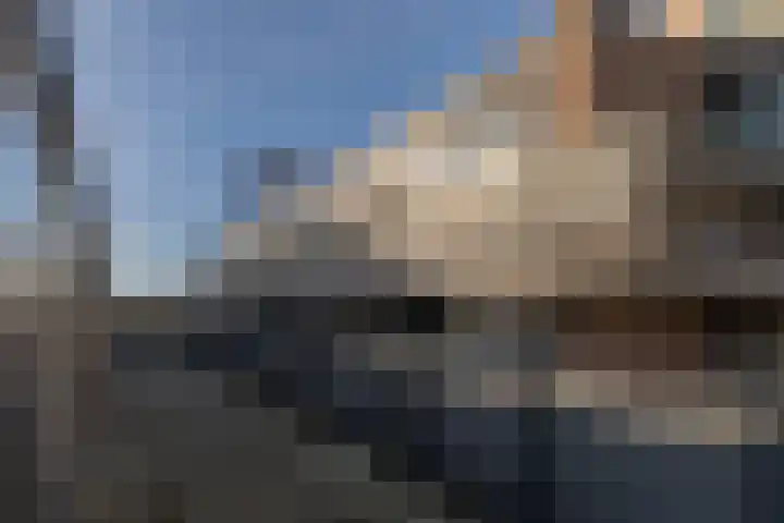 Winkelwaard 318 Alkmaar thumbnail 26