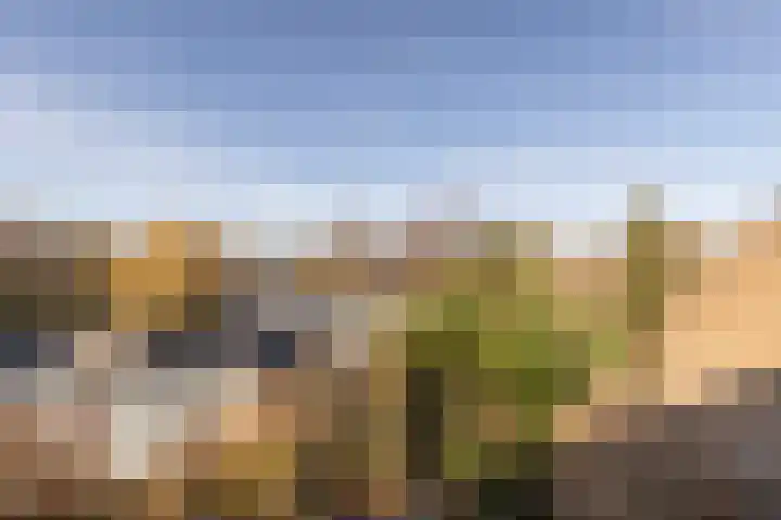 Winkelwaard 318 Alkmaar thumbnail 30
