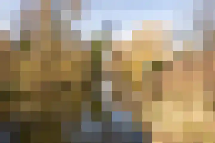 Winkelwaard 318 Alkmaar thumbnail 31
