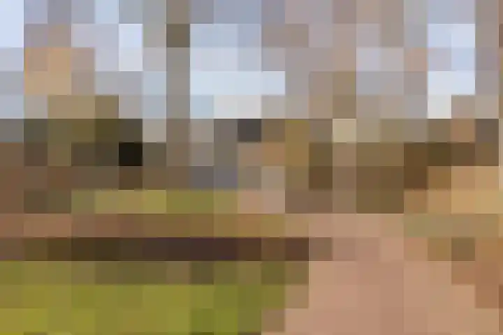 Winkelwaard 318 Alkmaar thumbnail 32