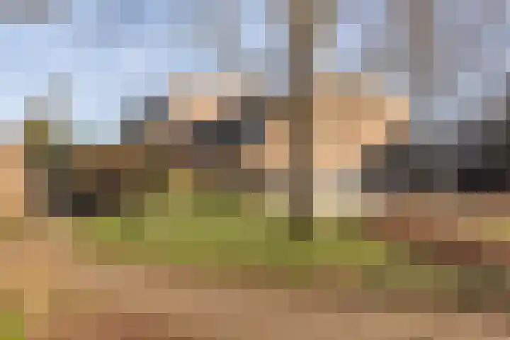 Winkelwaard 318 Alkmaar thumbnail 33
