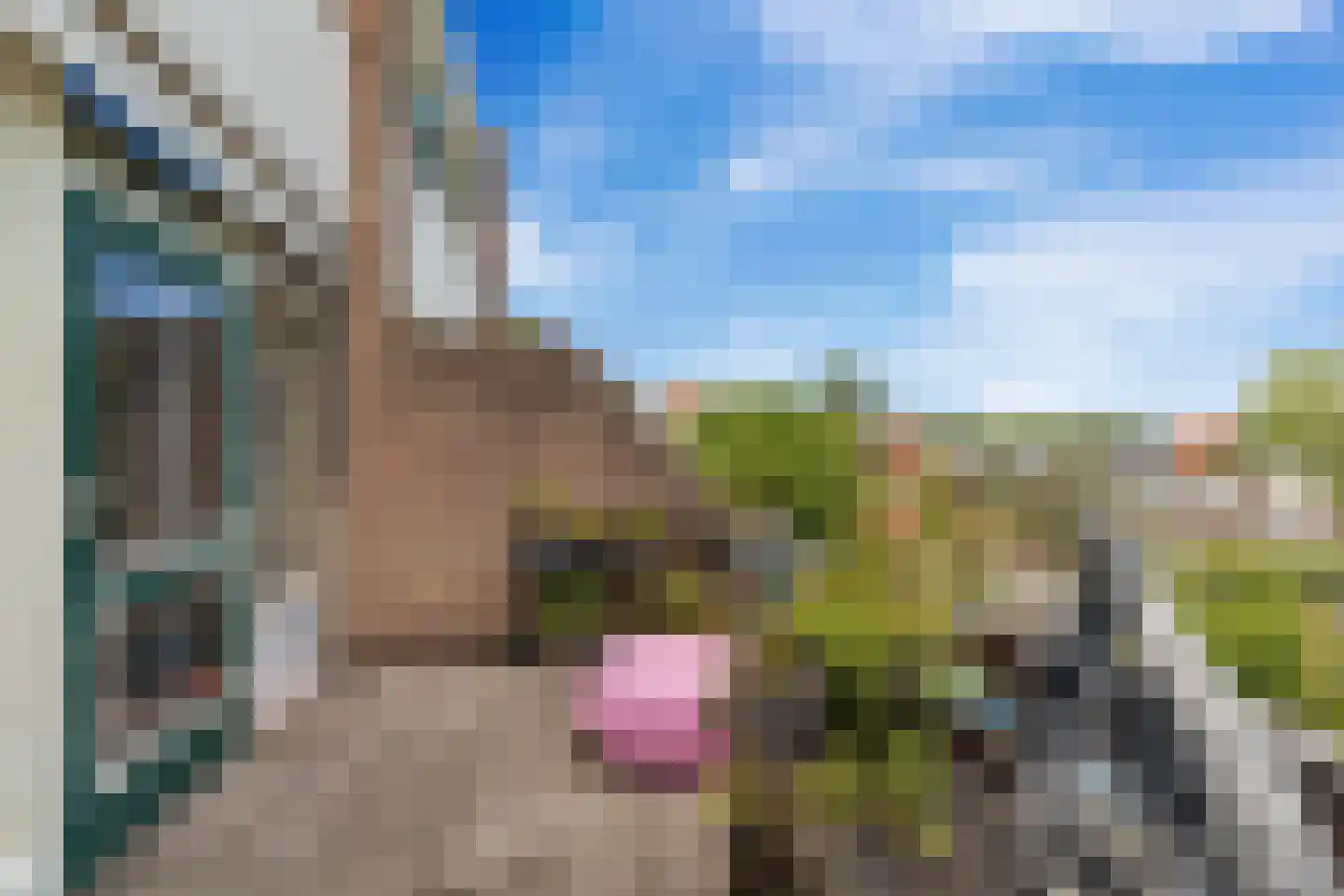 Winkelwaard 335 Alkmaar thumbnail 25