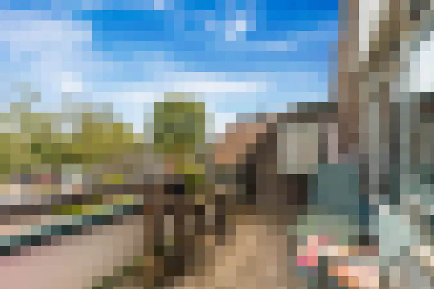 Winkelwaard 335 Alkmaar thumbnail 26