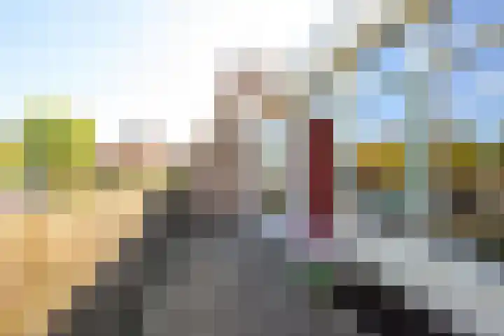 Winkelwaard 338 Alkmaar thumbnail 12