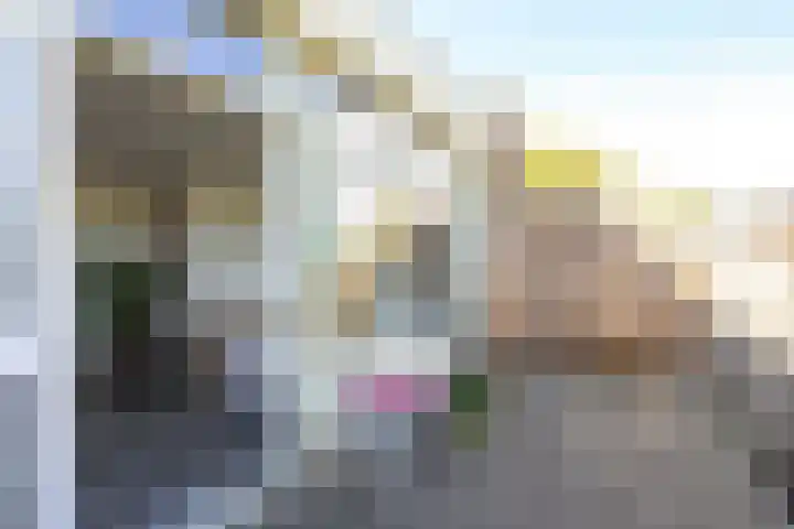 Winkelwaard 338 Alkmaar thumbnail 13