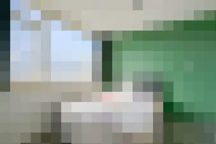 Winkelwaard 338 Alkmaar thumbnail 16