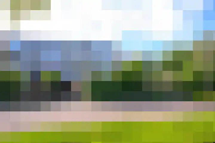Winkelwaard 338 Alkmaar thumbnail 27
