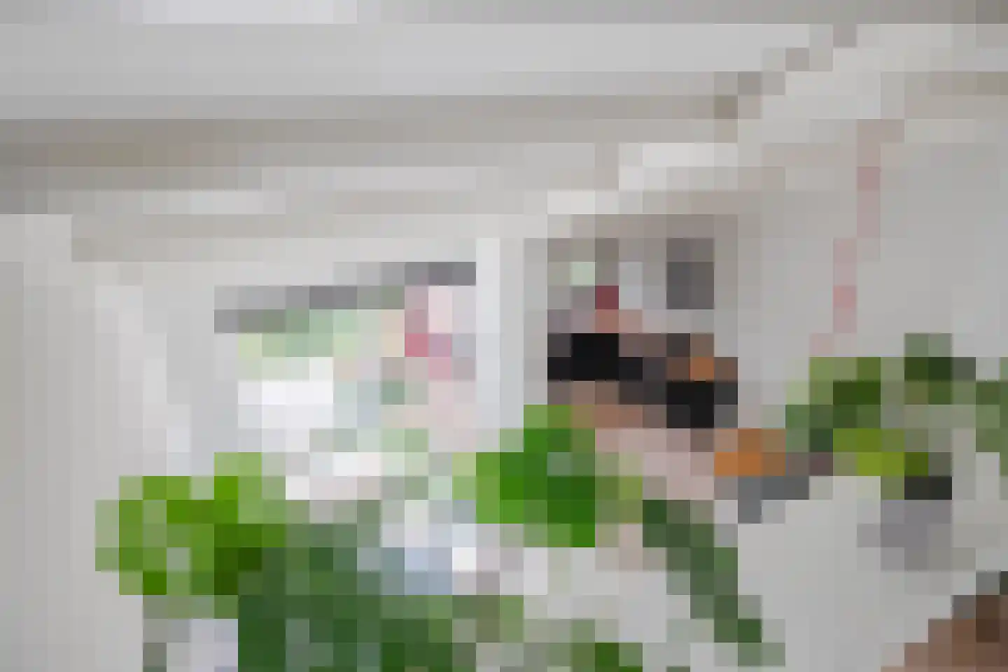 Winkelwaard 35 Alkmaar thumbnail 33