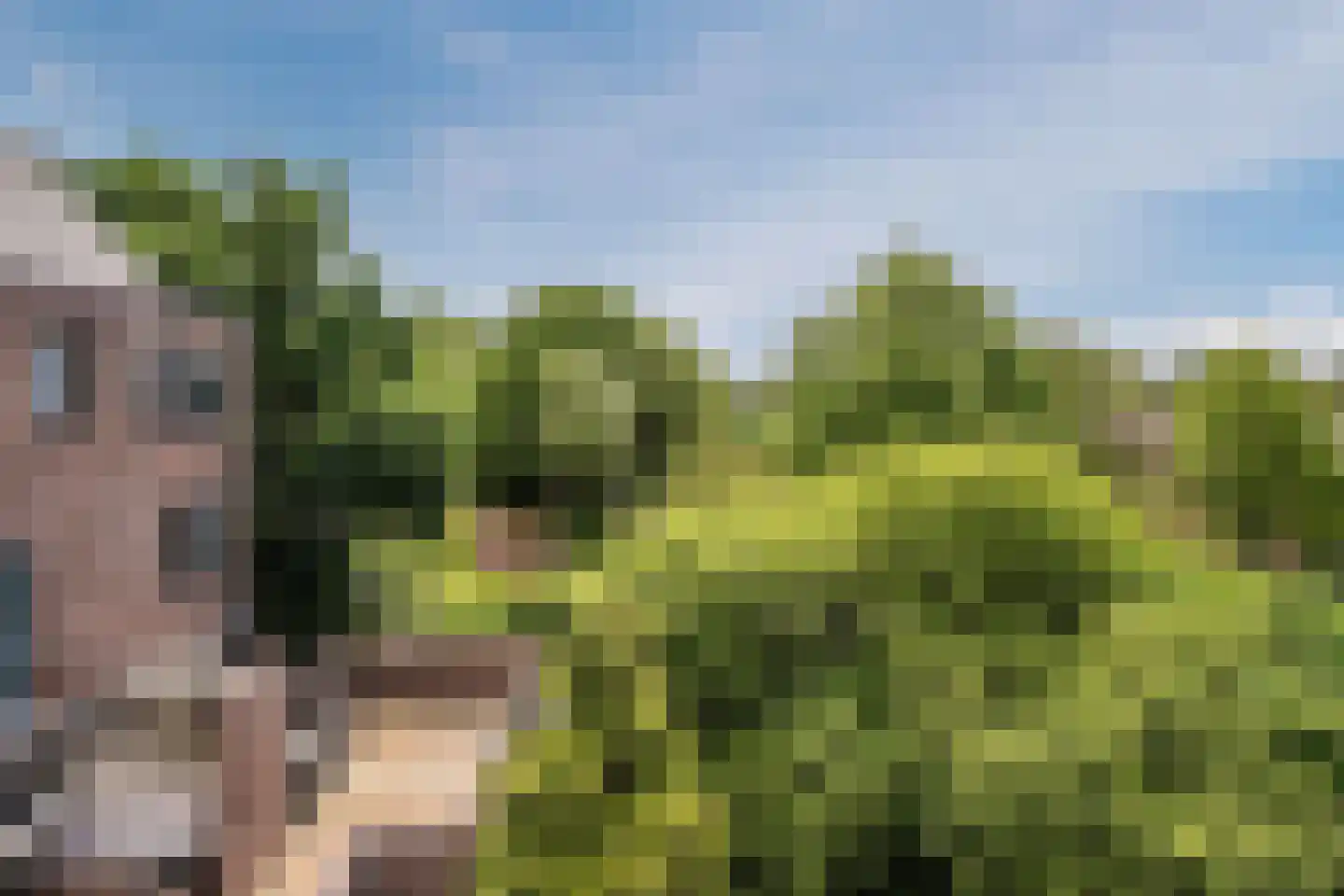 Winkelwaard 35 Alkmaar thumbnail 40