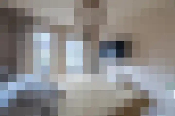 Winkelwaard 38 Alkmaar thumbnail 18