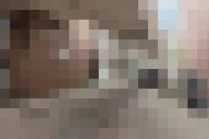 Winkelwaard 38 Alkmaar thumbnail 28