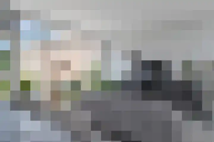 Winkelwaard 422 Alkmaar thumbnail 10