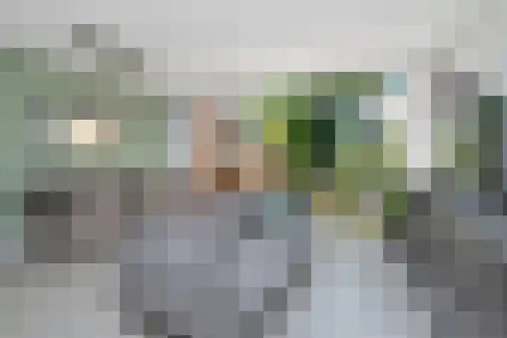 Winkelwaard 422 Alkmaar thumbnail 12