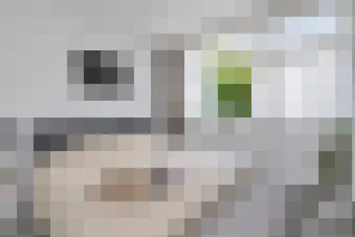 Winkelwaard 422 Alkmaar thumbnail 24