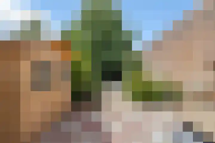 Winkelwaard 422 Alkmaar thumbnail 27
