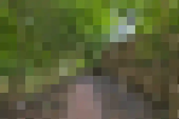 Winkelwaard 422 Alkmaar thumbnail 31