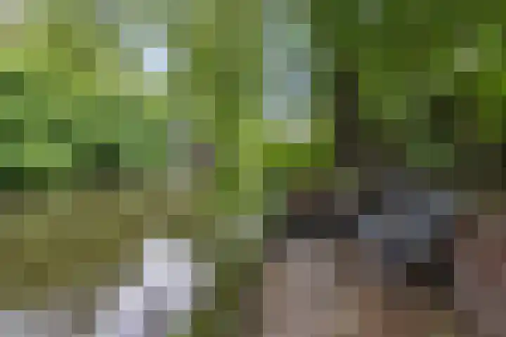 Winkelwaard 422 Alkmaar thumbnail 33