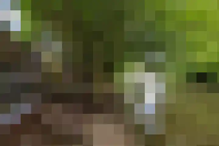 Winkelwaard 422 Alkmaar thumbnail 34