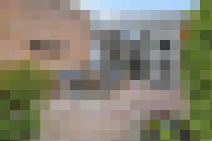 Winkelwaard 422 Alkmaar thumbnail 36