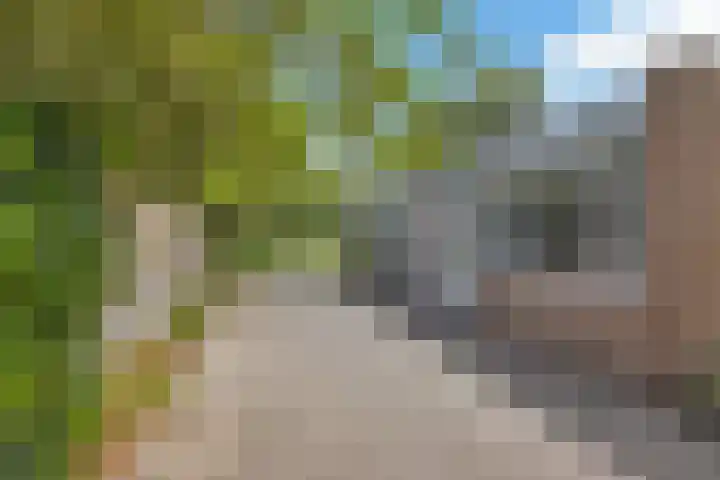 Winkelwaard 422 Alkmaar thumbnail 4
