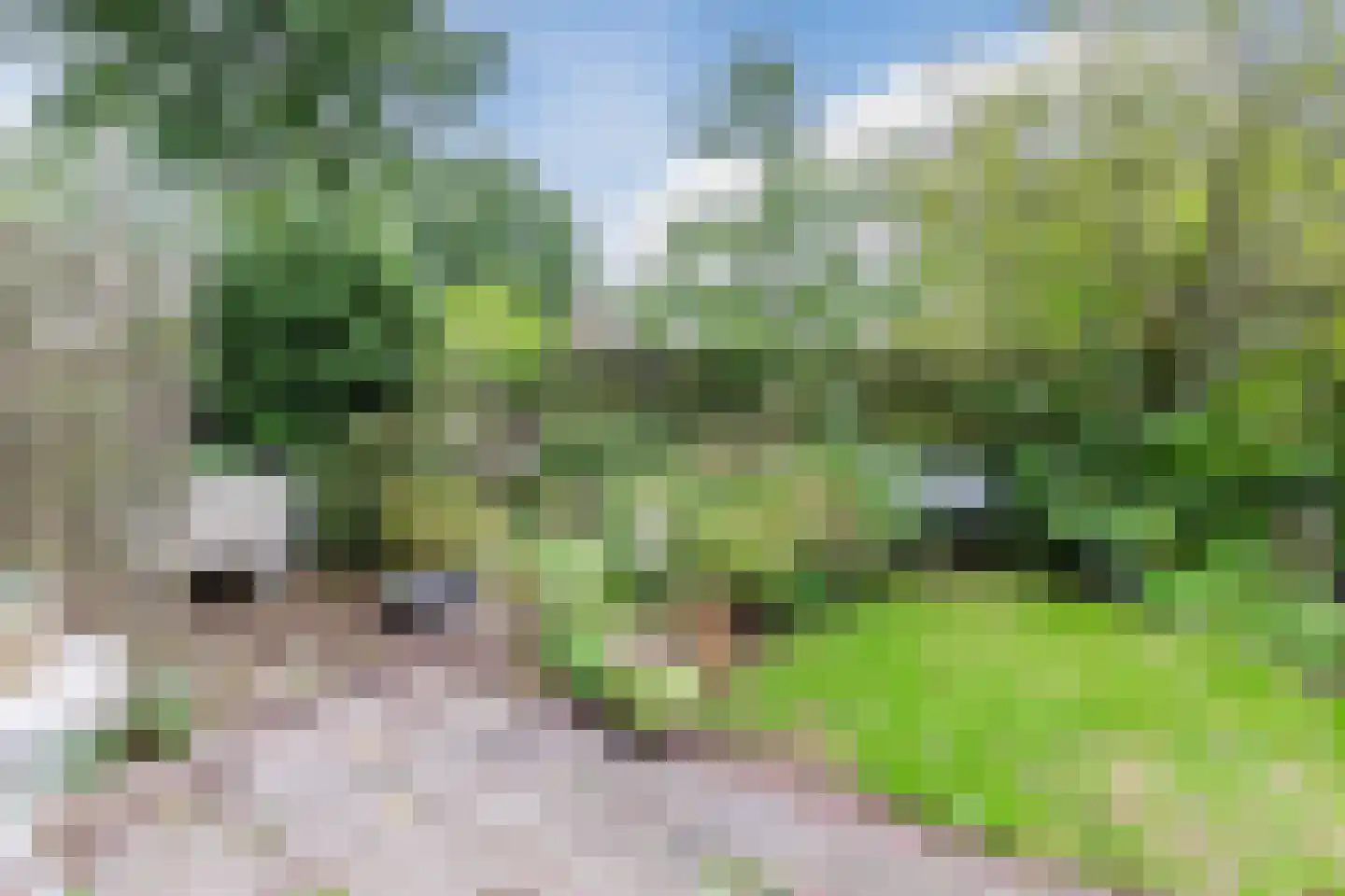 Winkelwaard 439 Alkmaar thumbnail 23