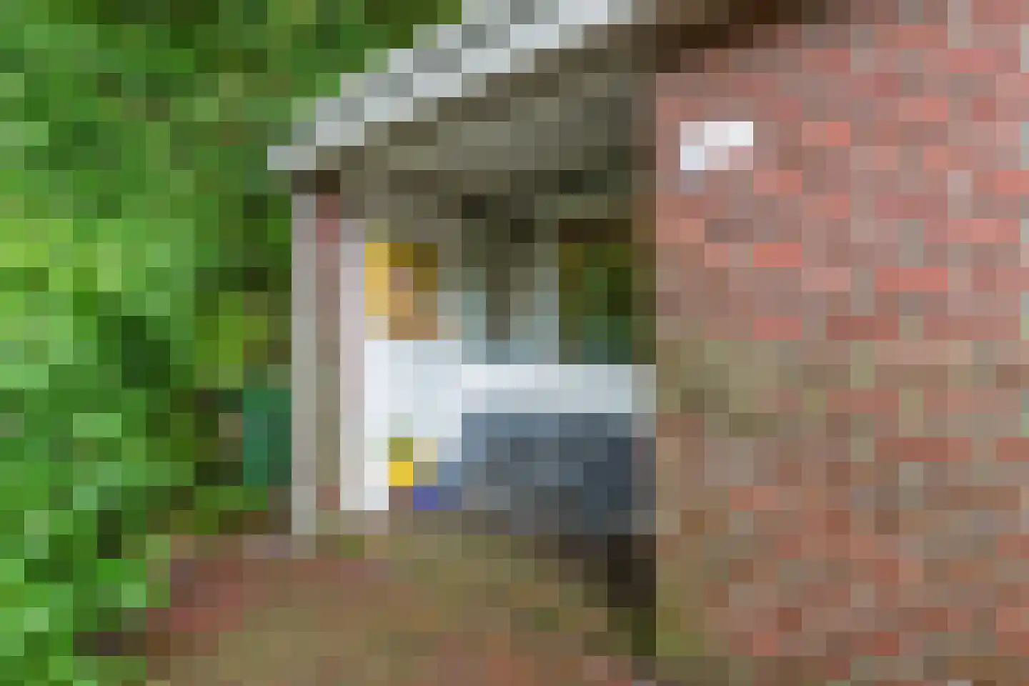 Winkelwaard 439 Alkmaar thumbnail 30