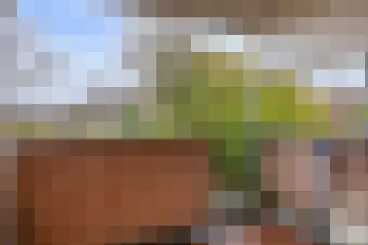 Winkelwaard 44 Alkmaar thumbnail 13