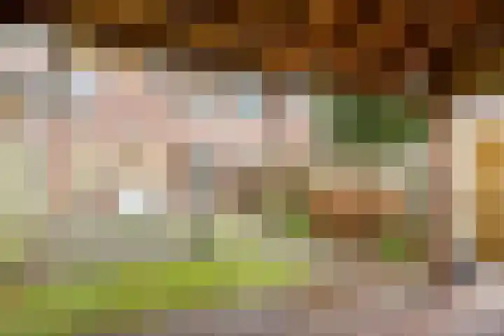 Winkelwaard 44 Alkmaar thumbnail 32