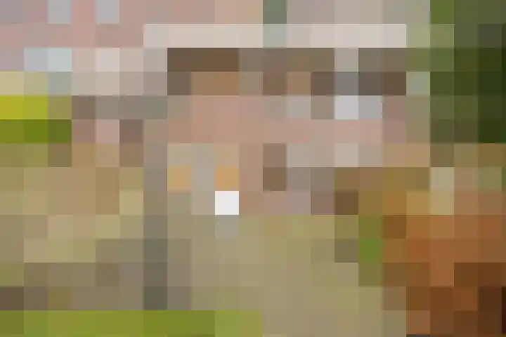 Winkelwaard 44 Alkmaar thumbnail 33