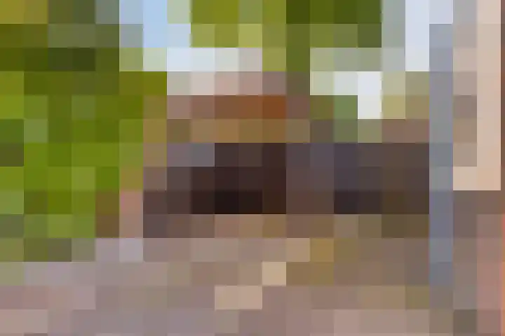 Winkelwaard 456 Alkmaar thumbnail 18