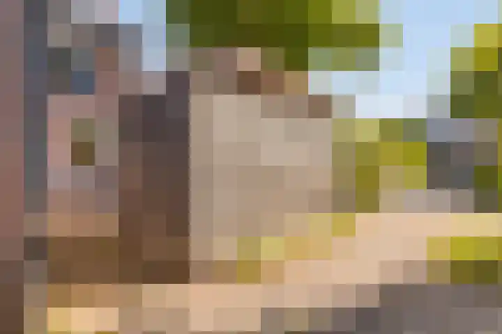 Winkelwaard 456 Alkmaar thumbnail 19