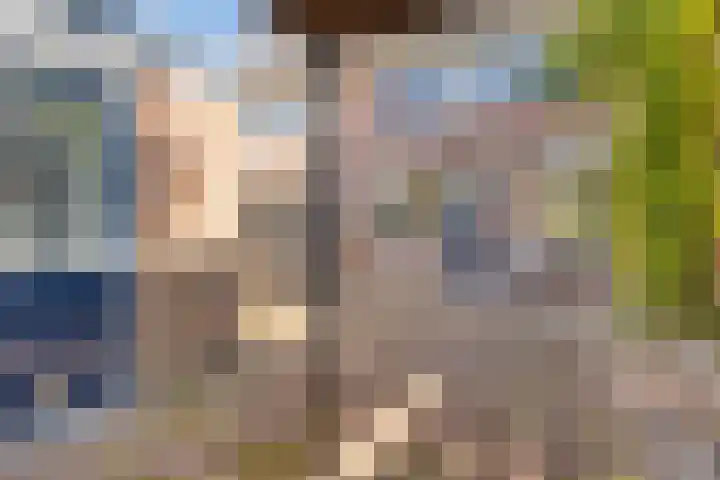 Winkelwaard 456 Alkmaar thumbnail 20