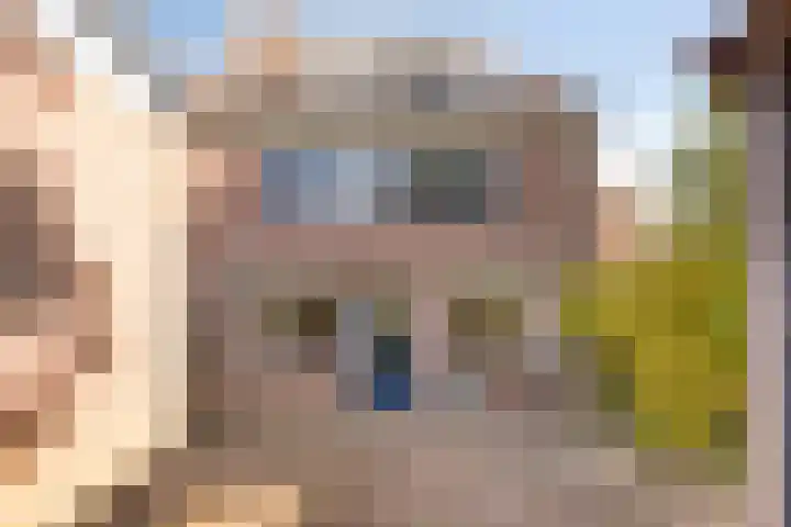 Winkelwaard 456 Alkmaar thumbnail 21