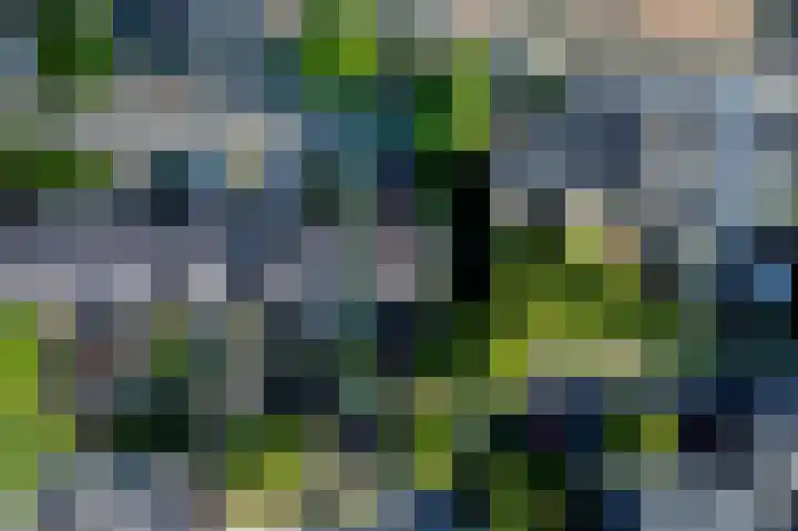 Winkelwaard 456 Alkmaar thumbnail 22
