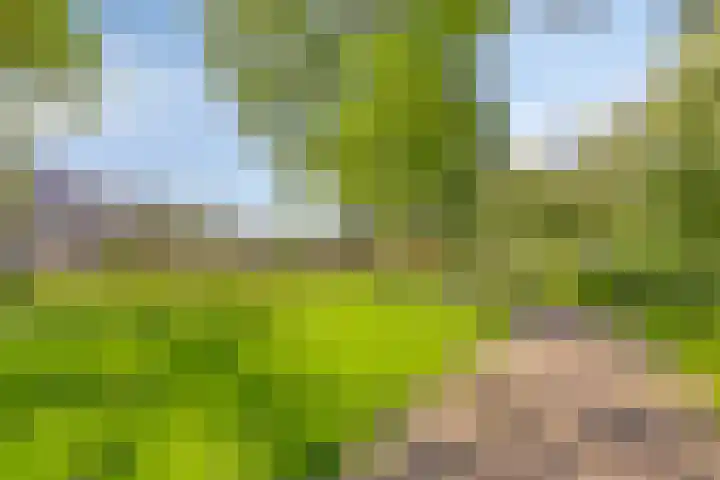 Winkelwaard 456 Alkmaar thumbnail 38