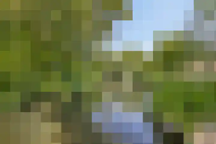 Winkelwaard 456 Alkmaar thumbnail 40